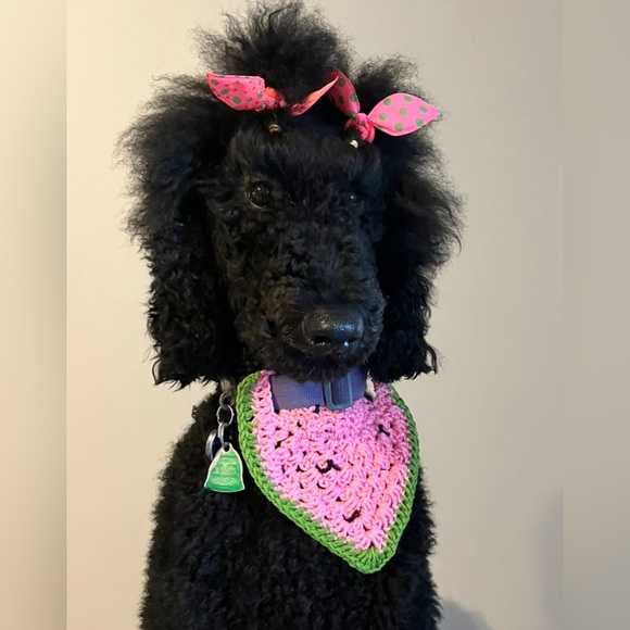 Watermelon Dog Bandana | Handmade Crochet Cotton Bandana - Picture 3 of 3